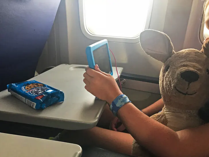 stuffed kangaroo with girls hand holding tablet with plane seat and window