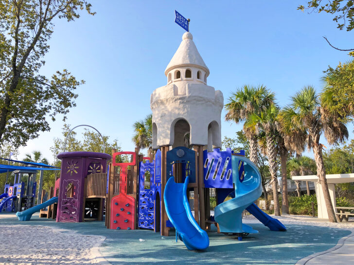 what to do in Siesta Key with kids