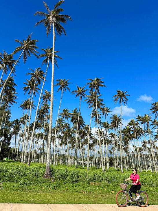 woman biking in Hawaii with palm trees in distance what to wear in Hawaii for women