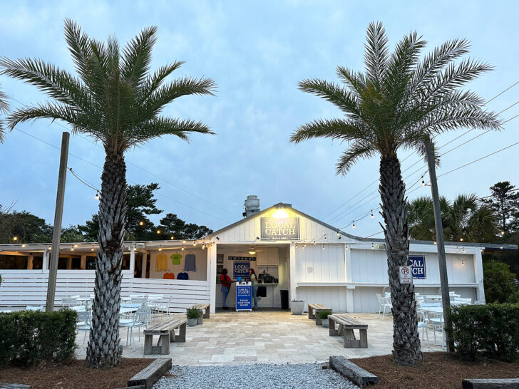 30a best restaurants view of front of restaurant with palm and trees benches