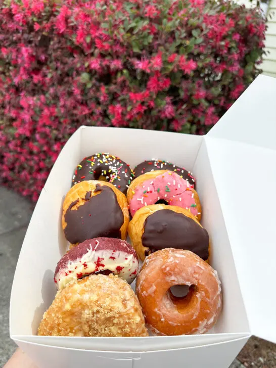 eight colorful donuts in box with colorful bush behind 30a best restaurants