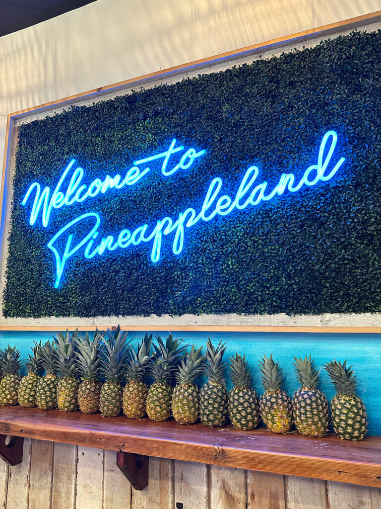 light up sign that reads pineappleland with row of pineapples below