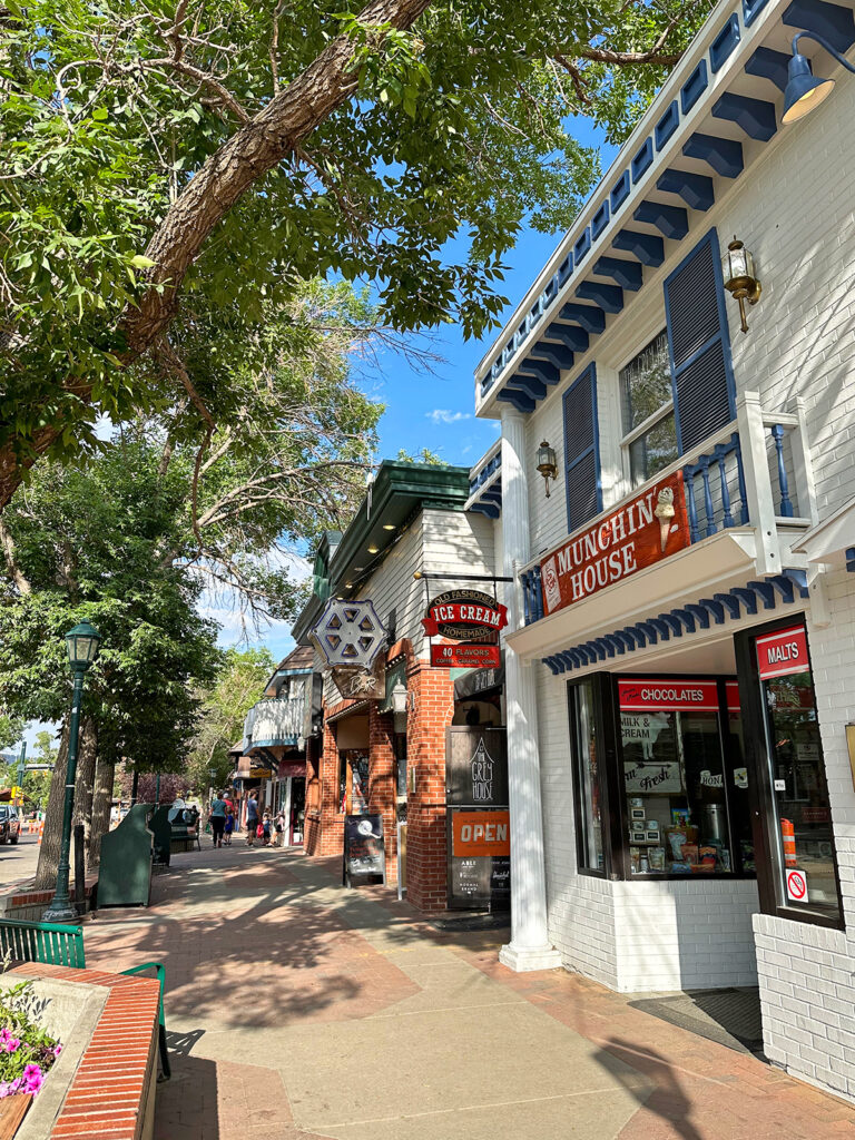 downtown shops along sidewalk and tree hanging over