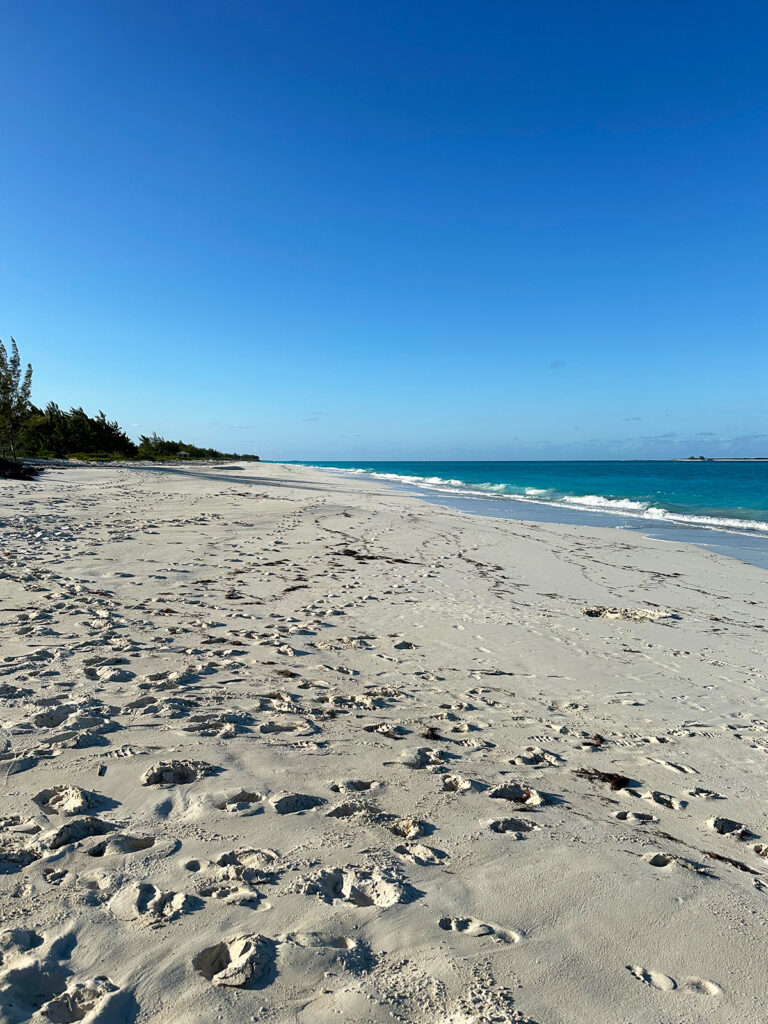 footprints in white sand and blue water