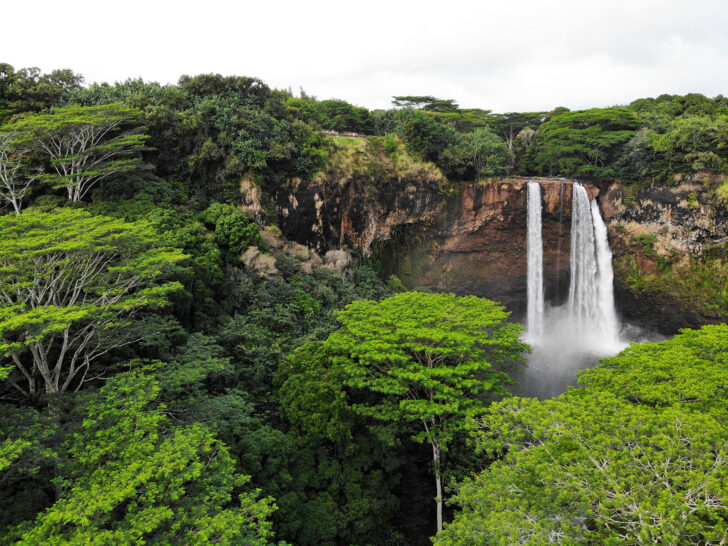 view of large waterfall in kauai with lush trees surrounding it