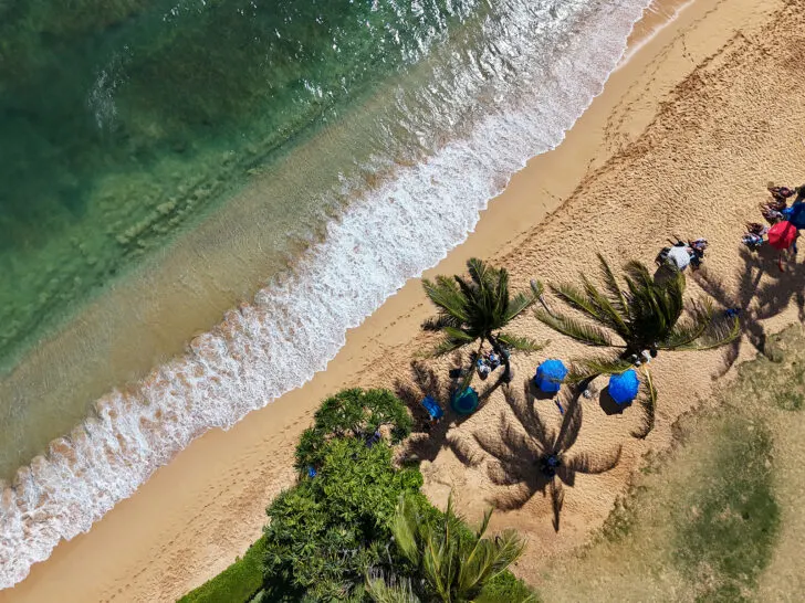 beach drone photos view from drone looking down of white wave green water and palm trees