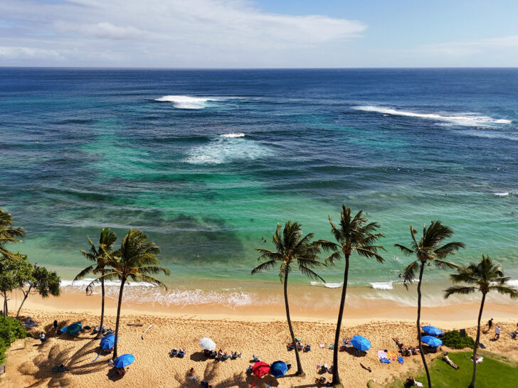 kauai photos view of teal and blue water with palm trees