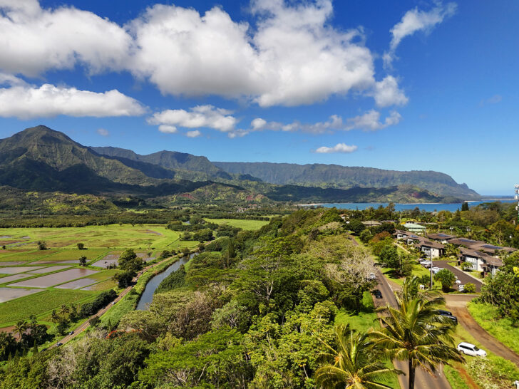 Kauai drone photos with view of mountains and palm trees with taro fields