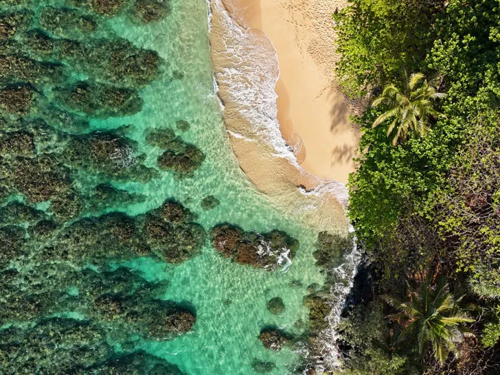 hawaii drone photgraphy beautiful view of beach with green water and coast