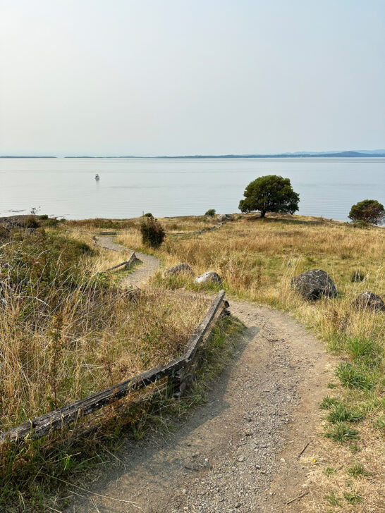 view of hiking trail leading to ocean