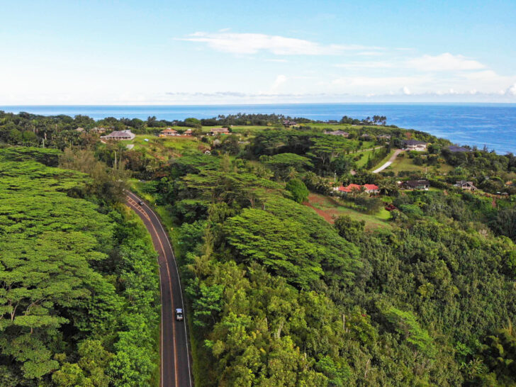 aerial view of road with lush greenery surrounding it with ocean in distance