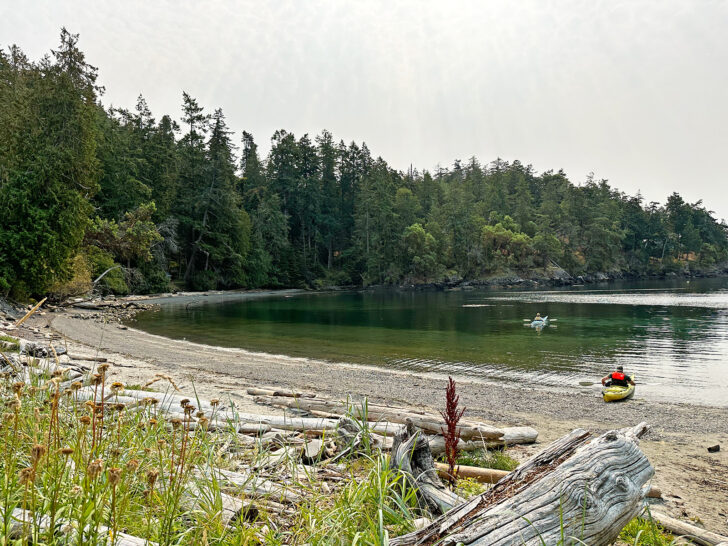 rocky beach with two kayaks and logs on coastline