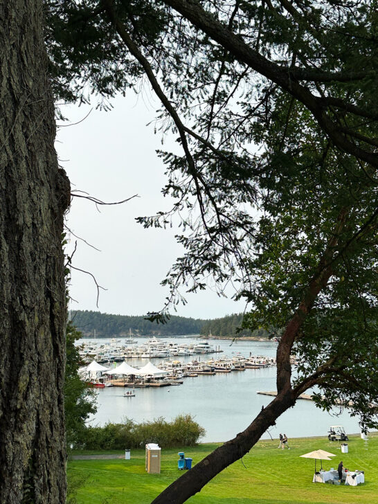 view of boats through trees