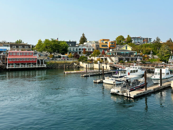 view of boats and buildings in San Juan islands vacation