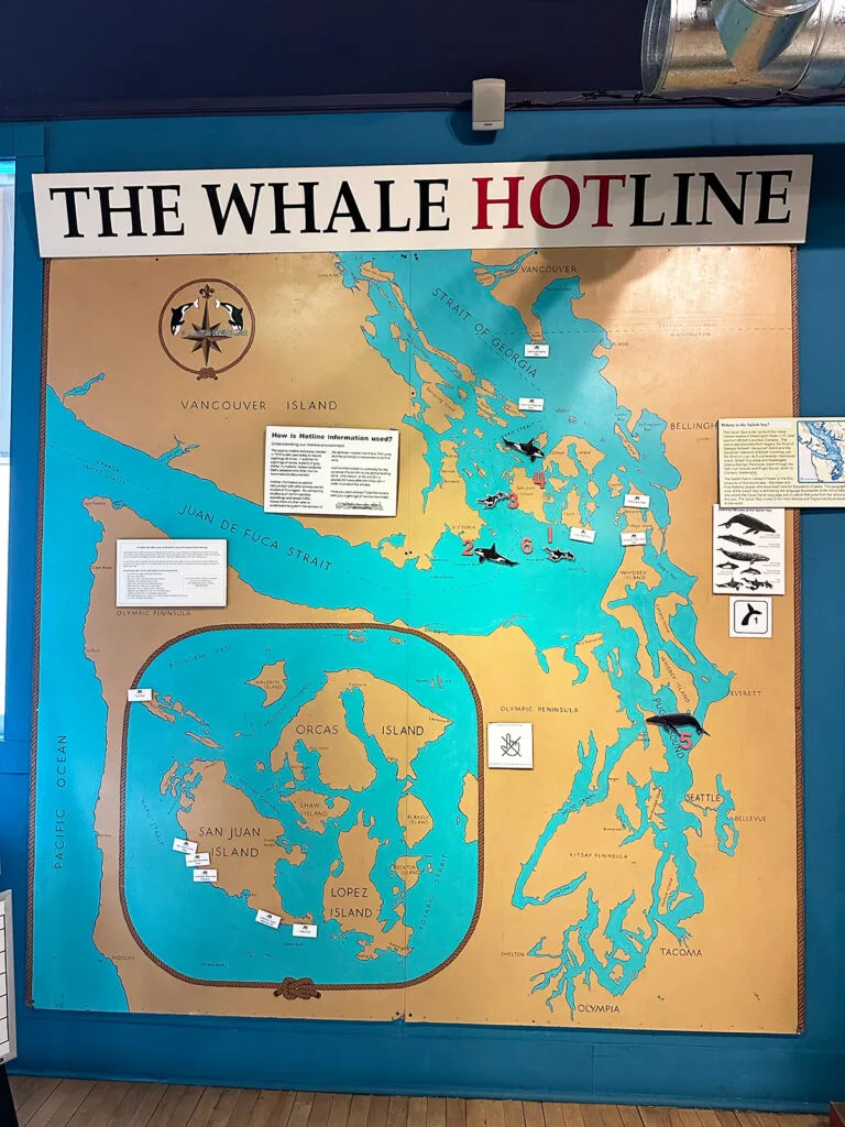 map and poster that reads the whale hotline