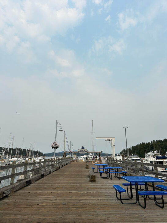 view of pier and picnic tables