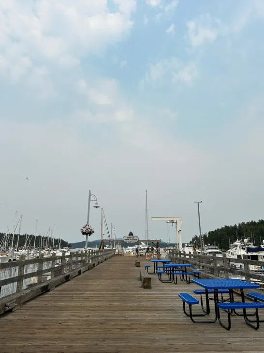 view of pier and picnic tables