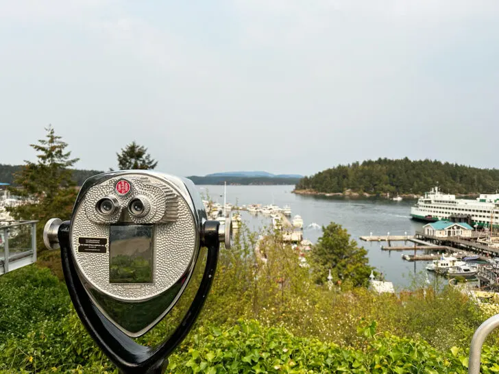 Friday harbor views with view finder of bay