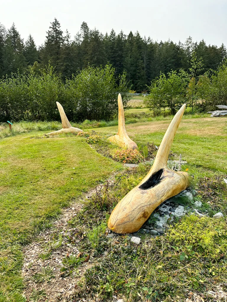 wooden whales in ground at sculpture garden