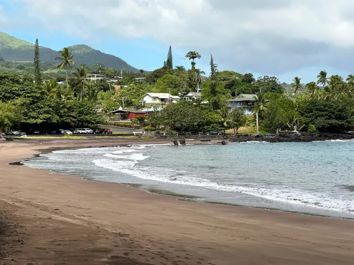 view of tan sand beach with town in distance