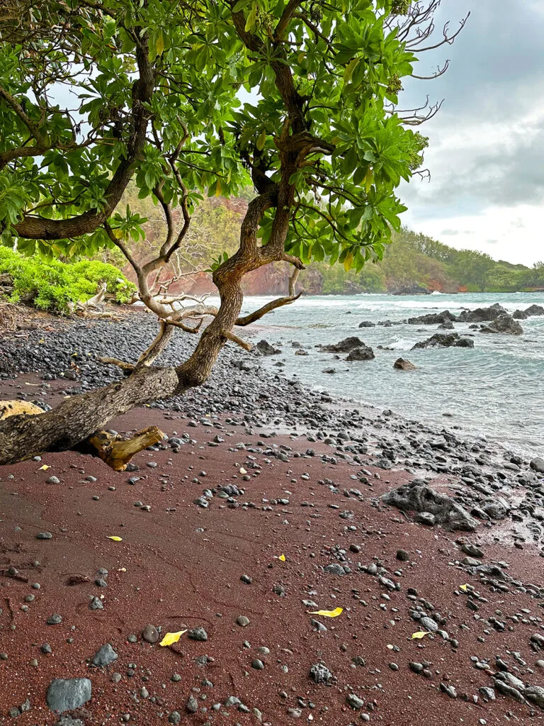 view of red sand beach with rocks and trees with waves