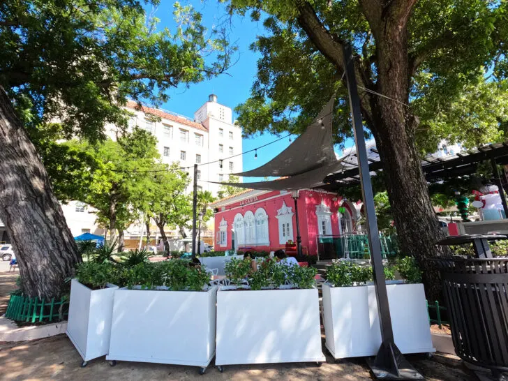 view of pink building with surrounding trees and white building in the distance