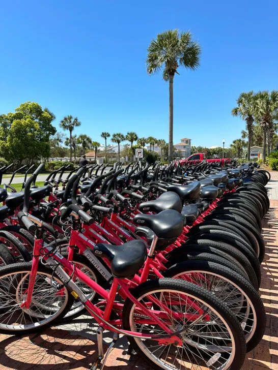 long row of red bikes with palm trees in distance