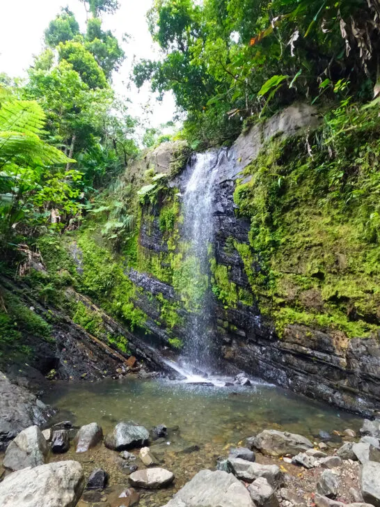 water falling off black rock cliff with greenery surrounding it