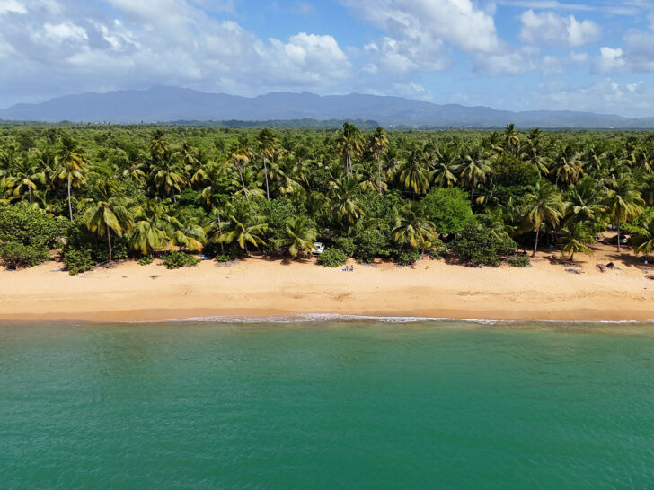 what to pack for Puerto Rico view of beach with teal water and lots of palm trees