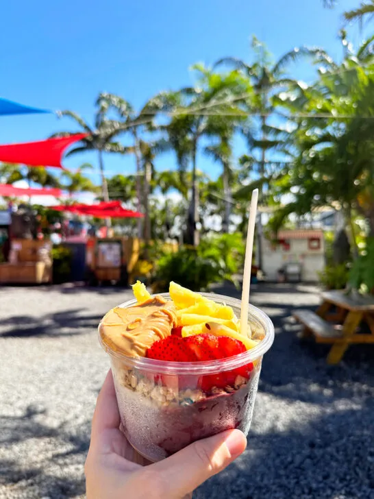 hand holding acai bowl with palm trees in distance