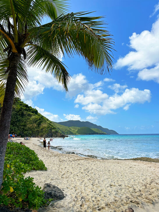 palm tree white sand beach and rolling hills best beaches in st Croix