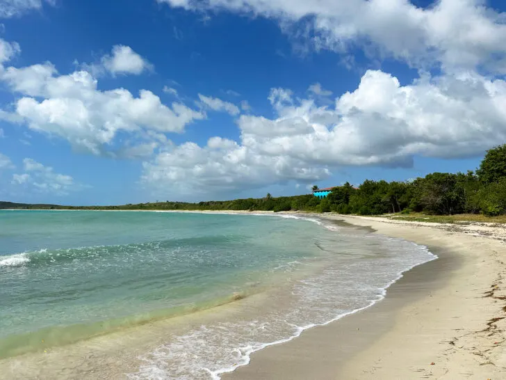 view of crescent shaped beach with blue water white puffy clouds in the sky and trees