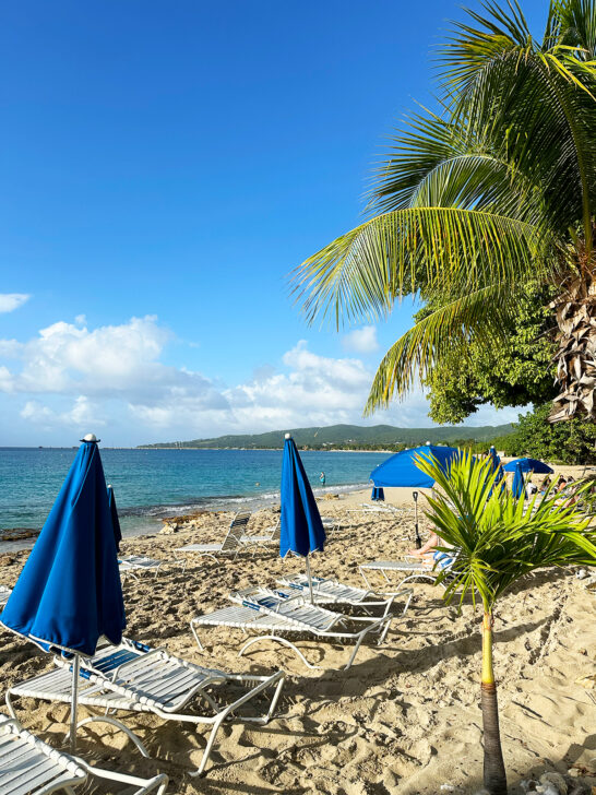 blue umbrellas palm trees and white chairs with view of ocean best beaches in St Croix