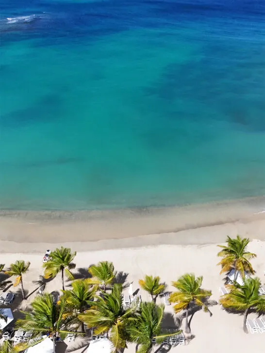 aerial view of blue ocean with green palm trees and teal water