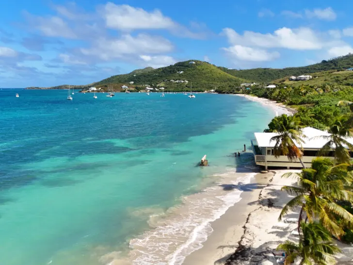 palm trees along beach with blue water and hills in the USVI