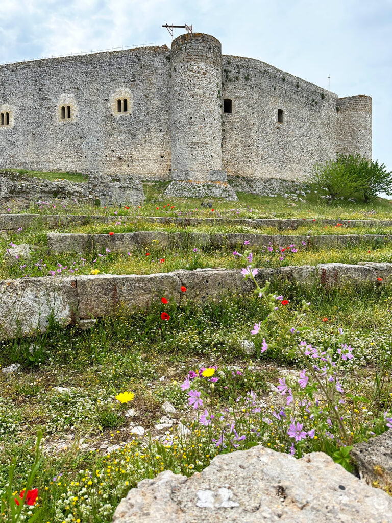 view of wildflowers with old stone castle in distance