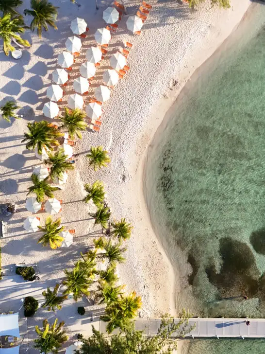 aerial view of palm trees with umbrellas and beach Caribbean drone photos