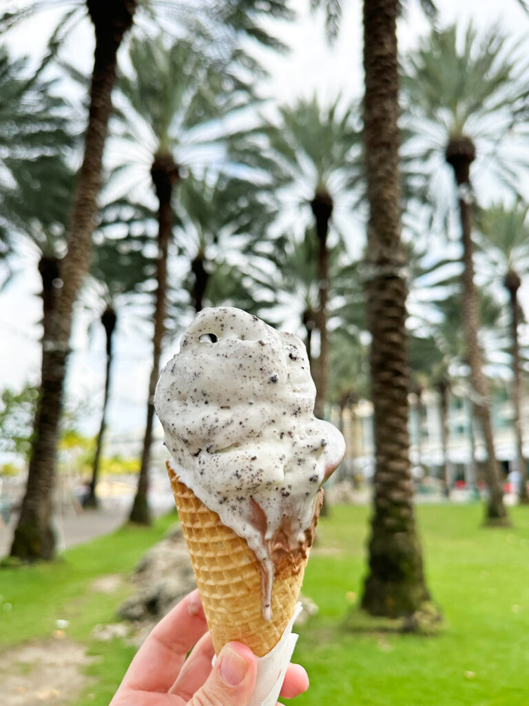 ice cream cone with palm tree in distance