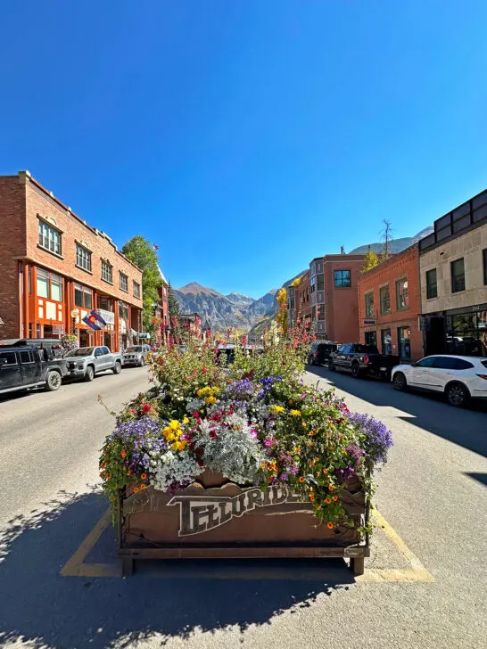 Telluride in the fall view of sign and flowers on Main Street