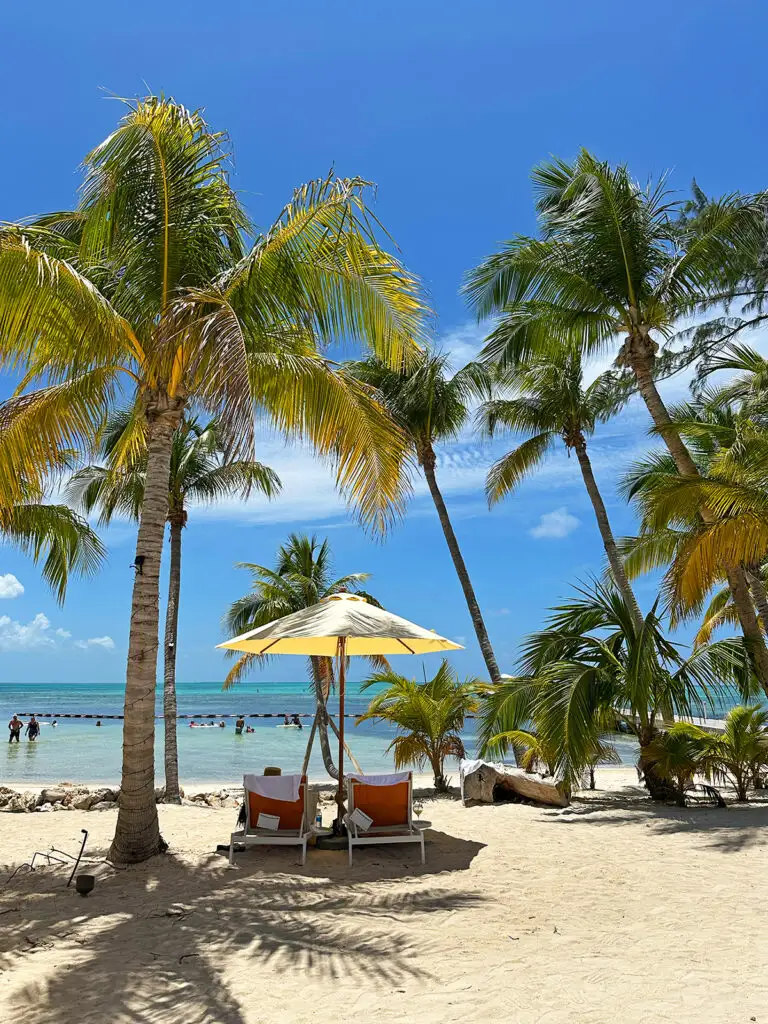 palm trees and umbrella and chairs on beach essential tips for first time visitors to Cayman Islands