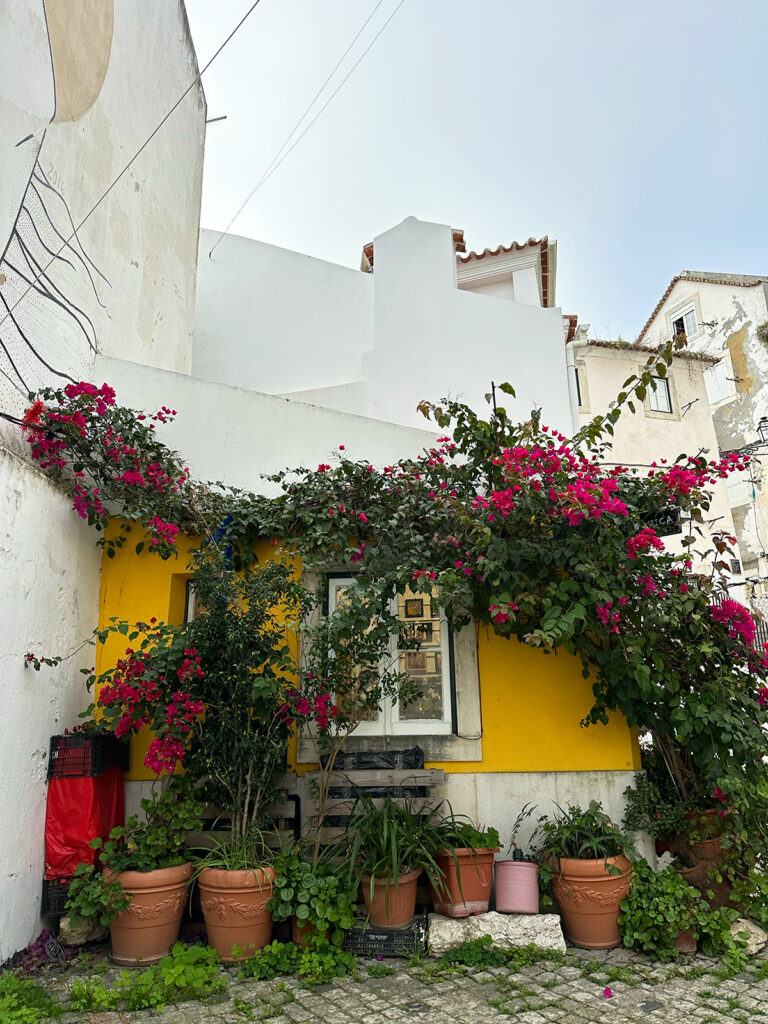 house with yellow and white walls and plants surrounding it