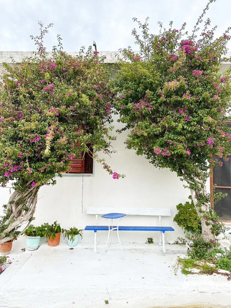 white building with colorful trees and flowers in Kastro Greece