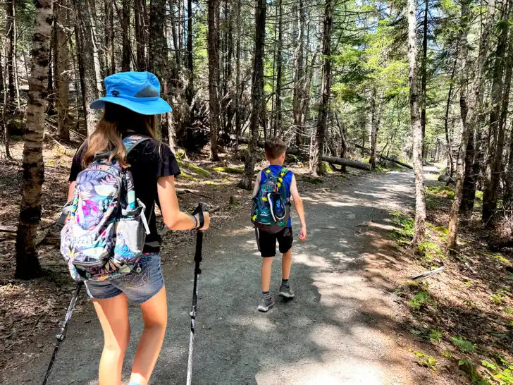 hiking with kids in Acadia wearing hiking backpacks through wooded trail