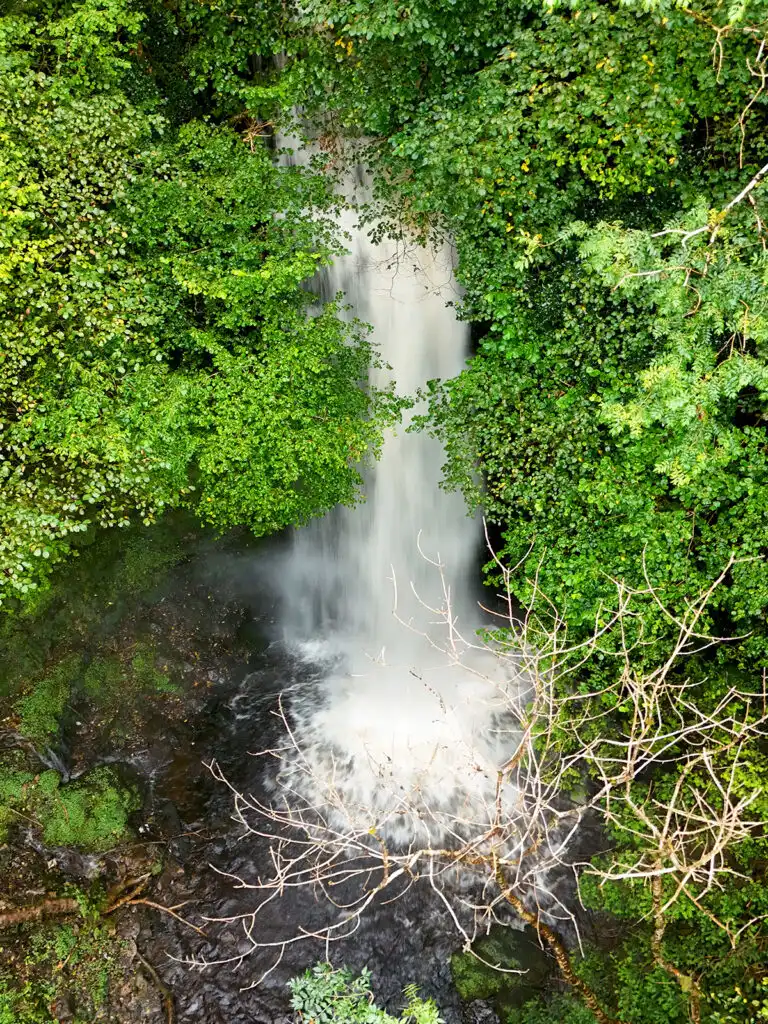white water falling into water with greenery nearby
