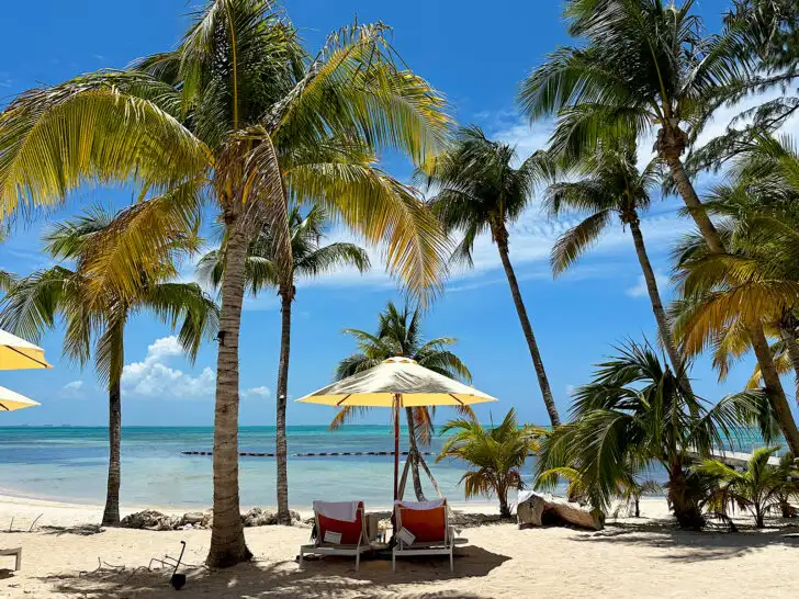 Cayman Islands vacation view of two beach chairs and umbrella with palm trees and beach
