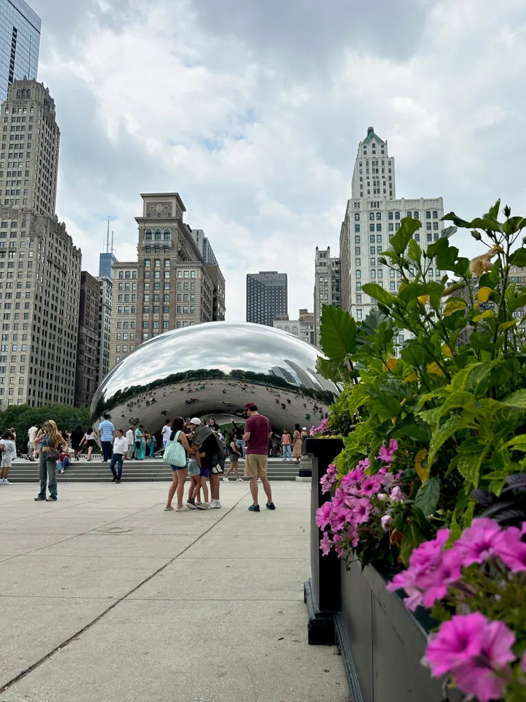 flowers and view of millennium park