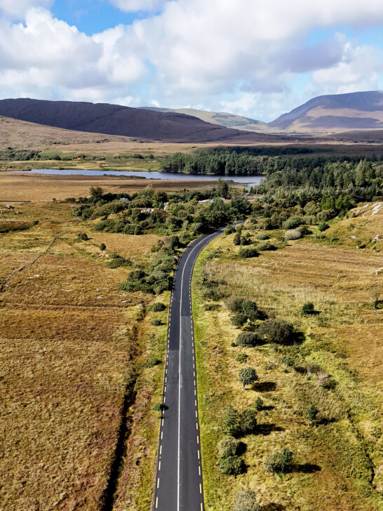 open road with trees and greenery surrounding it
